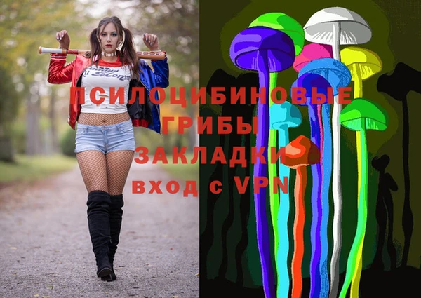 мдпв Балахна