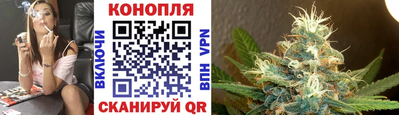 hydra   Плавск  Конопля ГИДРОПОН 